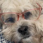 You Can't Teach an Old Dog New Tricks and Other BS I've Believed