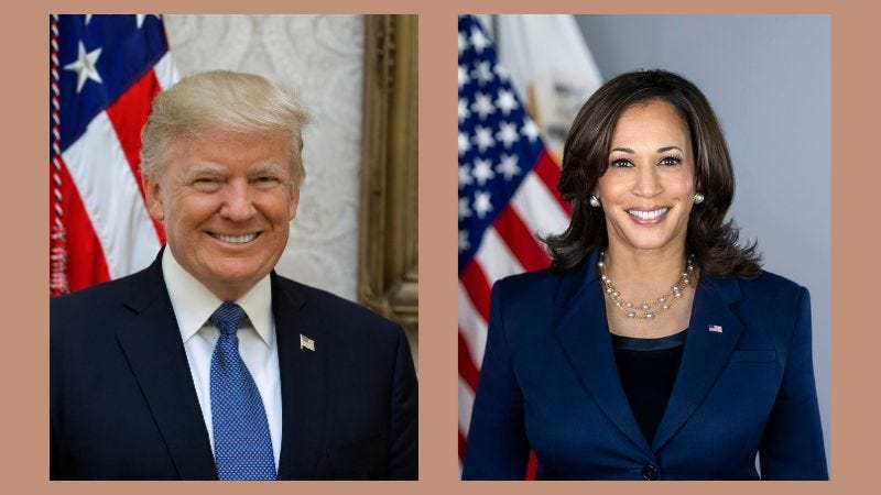 Trump e Harris, i programmi economici. Intervista a Emilio Carnevali
