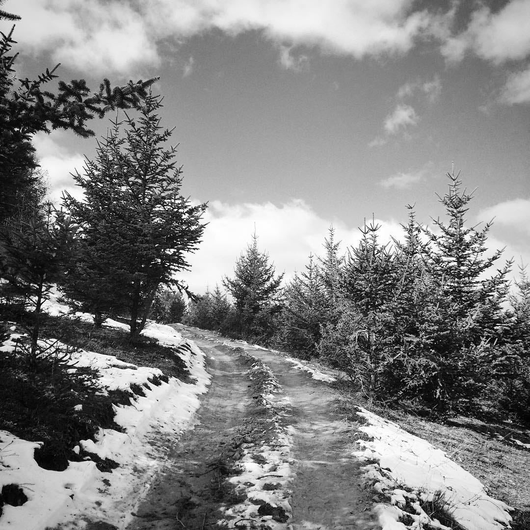 Snow-covered path outside of Shangri-La, Yunnan Province.