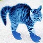 Bluetabbies's avatar