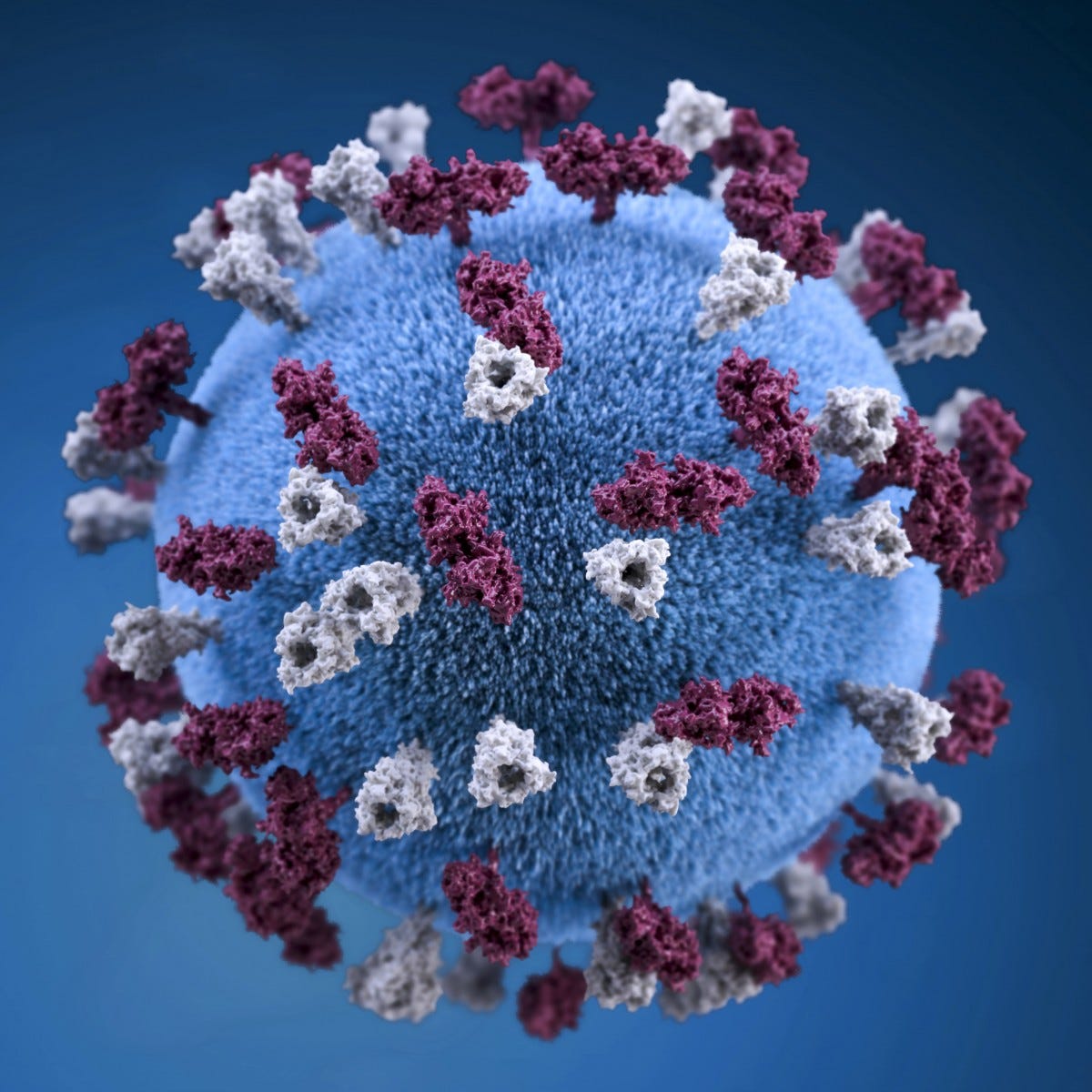 covid 19, coronavirus, covid, cell, pandemic, corona virus, blue, crochet, textile, needlework, art, pattern, wool, knitting, plant, craft, symmetry, stitch, woven fabric, cross stitch