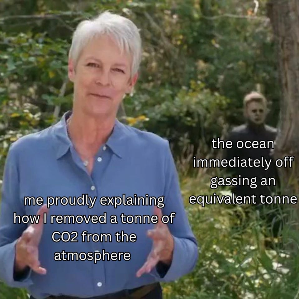 Jamie Lee Curtis, in a blue shirt, gestures earnestly to camera, captioned "me proudly explaining how I removed a tonne of CO2 from the atmosphere". Behind her in the trees stands Michael Myers, captioned "the ocean immediately off gassing an equivalent tonne".