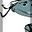 Cally Starforth's avatar