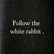 CMM | Follow the White Rabbit