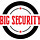  Big Security