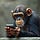 7 Billion Chimps With Smart Phones