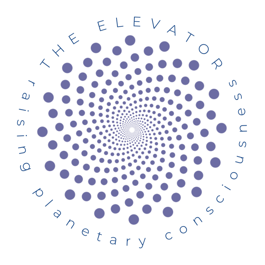 The Elevator’s Substack