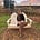 Hannah Jacklin's avatar