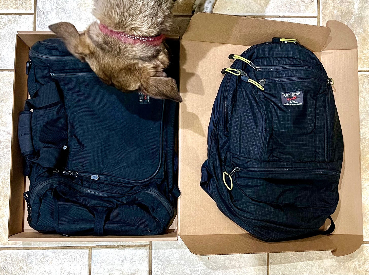 Two quality bags. My dog is sniffing one of them