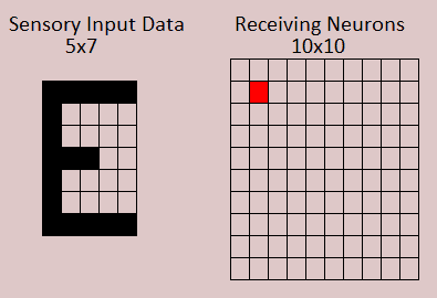 Visual Image to Winning Neuron
