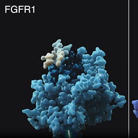 Relay Therapeutics: Pfizer’s Missing Puzzle Piece?