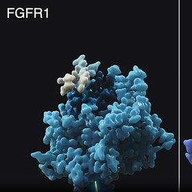 Relay Biotech Relay Therapeutics: Updates, Progress, and an Evolving Buyout Narrative