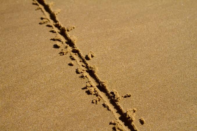 What Is Your Line In The Sand? (Updated) | The Heidelblog What Is Your Line In The Sand? (Updated) | The Heidelblog
