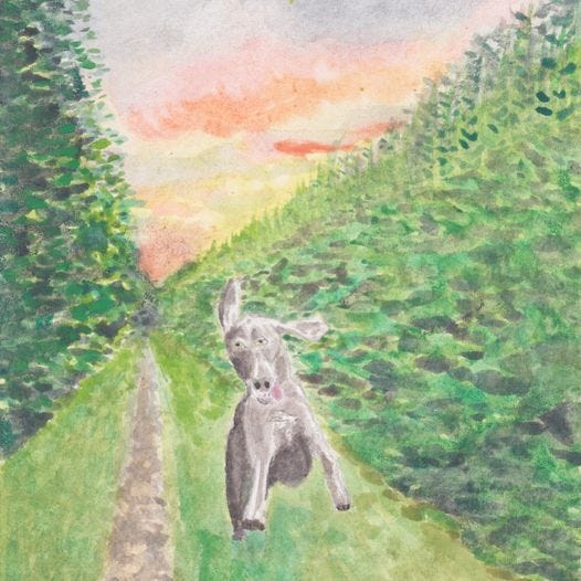 Voordat ik de bakker binnenging deed ik mijn overhemd aan. Een man die voor me in de rij stond had niet van de schaamtekaas gegeten. Voordat ik de bakker binnenging deed ik mijn overhemd aan. Een man die voor me in de rij stond had niet van de schaamtekaas gegeten.