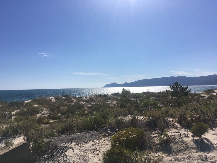 Península de Tróia, Setúbal. Xuño, 2019