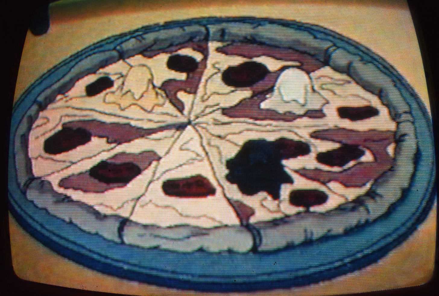 Teenage Mutant Ninja Turtles (1987) | CARTOON CRAVINGS