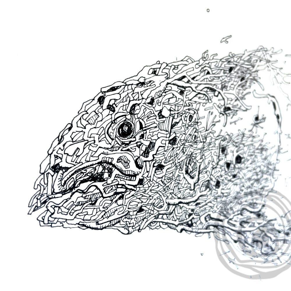 Sketchbook capture of a salmon, constructed of tiny twigs Sketchbook capture of a salmon, constructed of tiny twigs