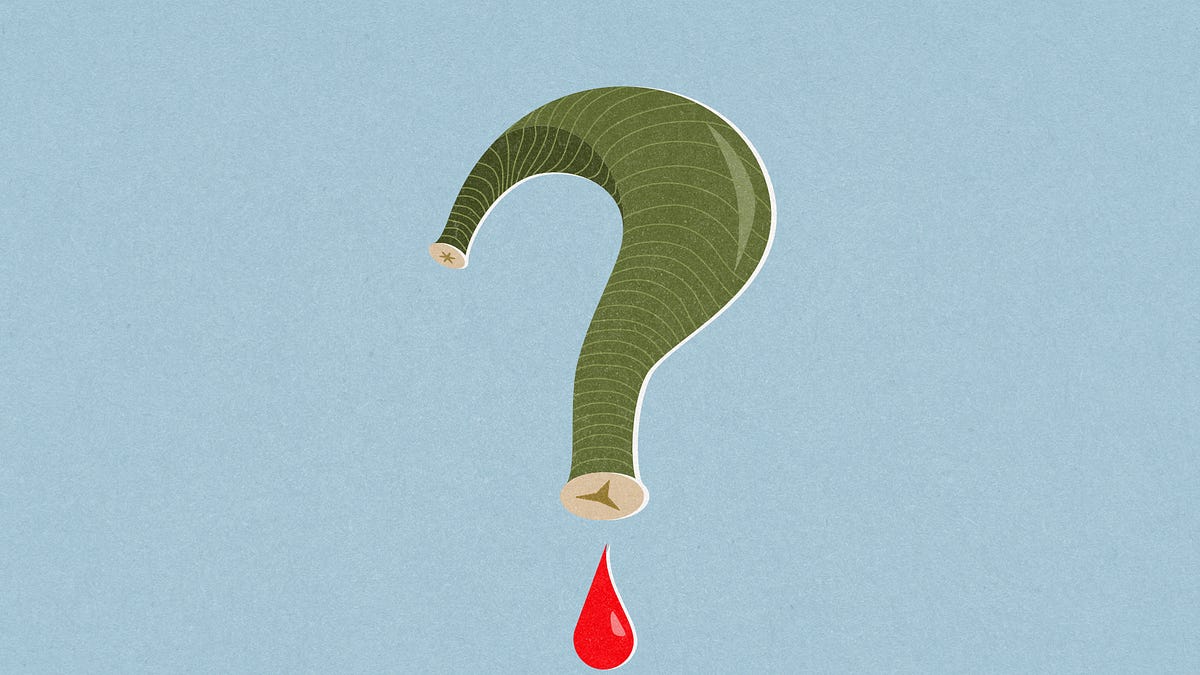 Leeches and the Legitimizing of Folk-Medicine