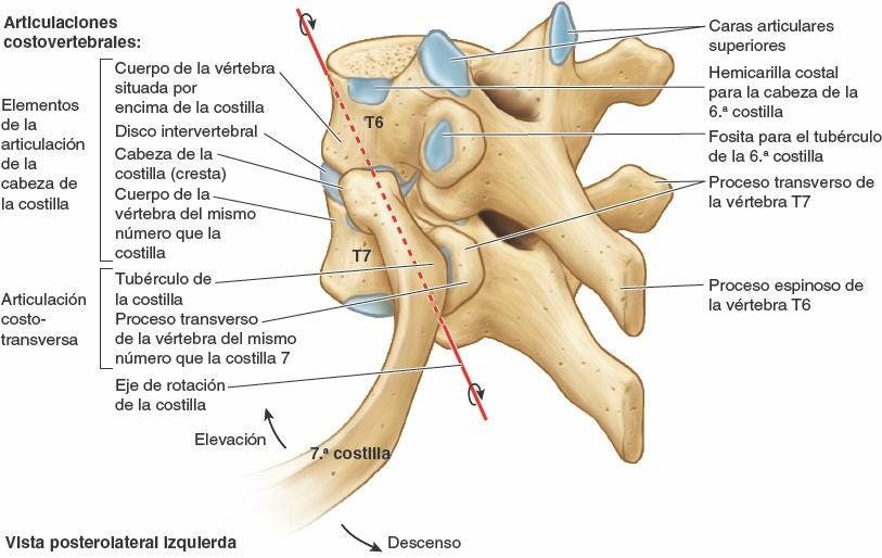 Fig. 4-5