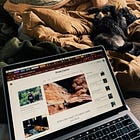 The salesman says this is the best computer for creating [content]