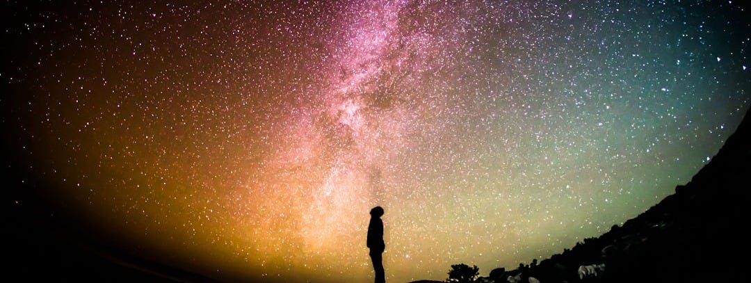 silhouette photography of person