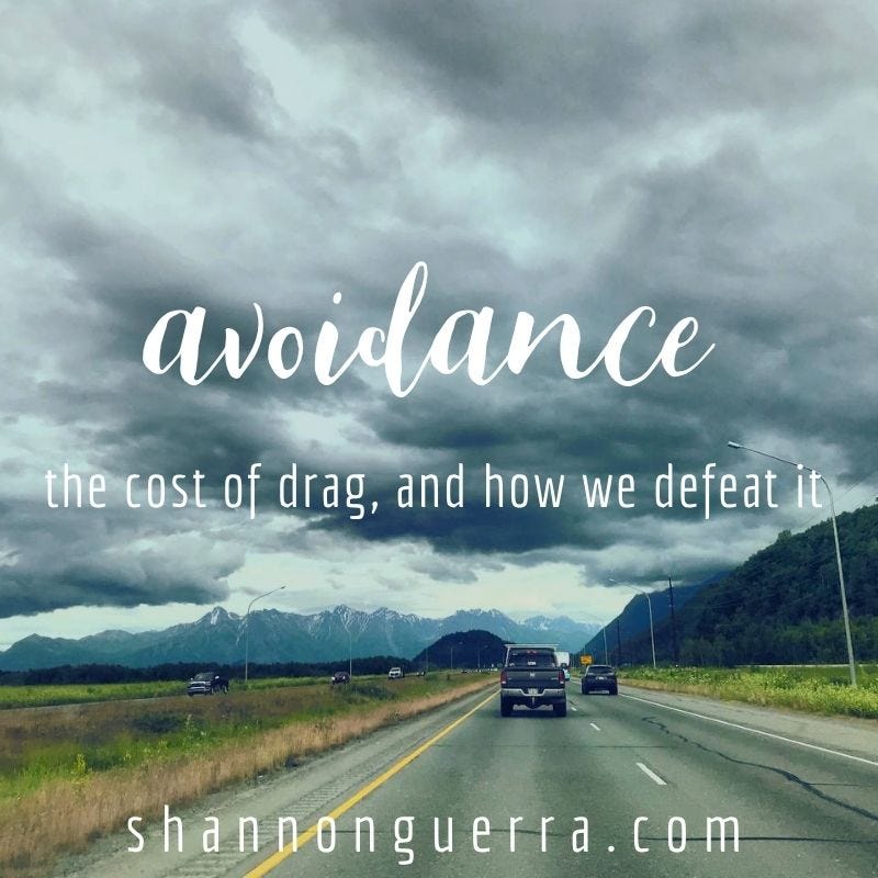 avoidance: the cost of drag, and how we defeat it | Shannon Guerra at Copperlight Wood