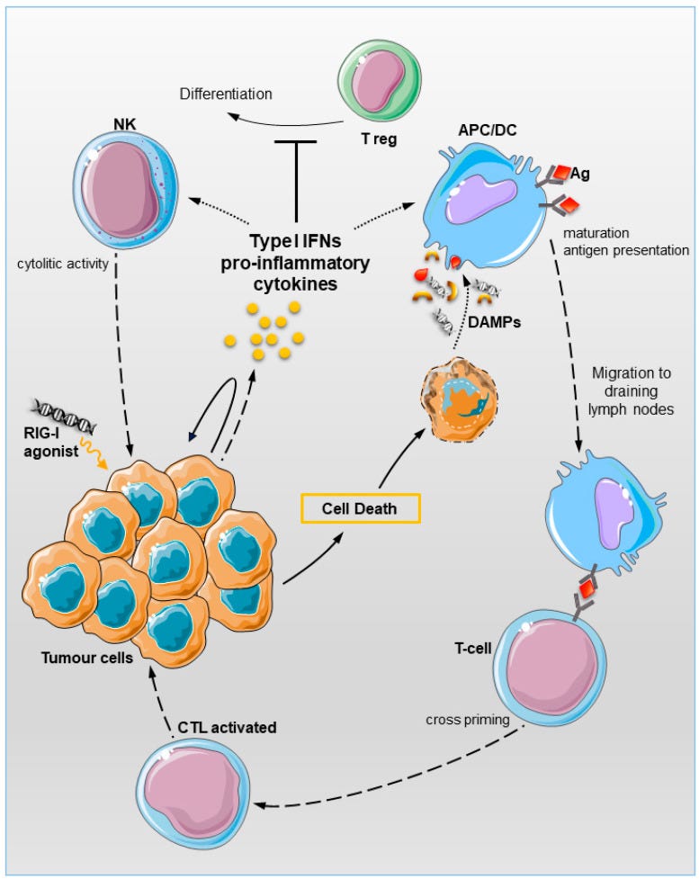 An external file that holds a picture, illustration, etc.
Object name is cancers-12-03158-g002.jpg An external file that holds a picture, illustration, etc.
Object name is cancers-12-03158-g002.jpg