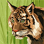 Joseluis's avatar