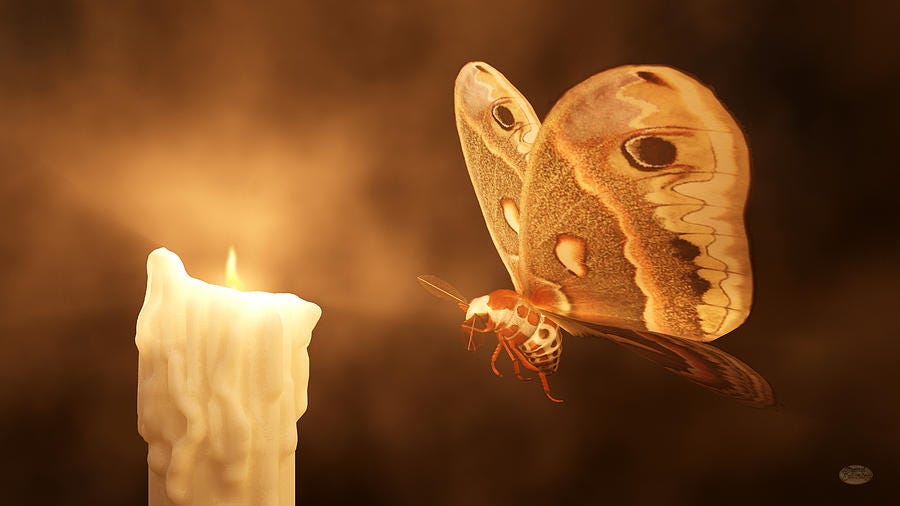 Like a Moth to a Flame by Daniel Eskridge Like a Moth to a Flame by Daniel Eskridge