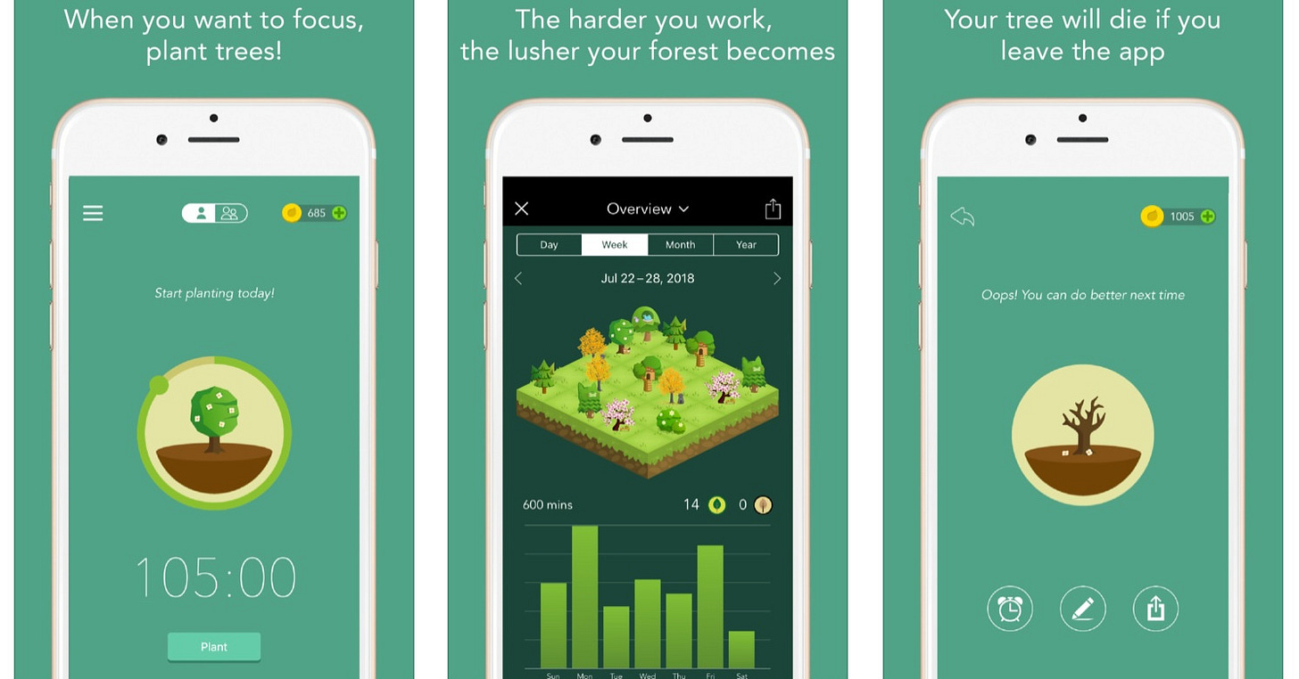 The different pages you see on the app The different pages you see on the app