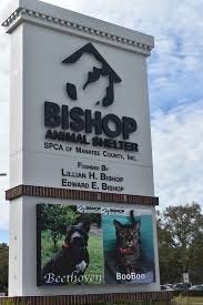 Concerns Raised Over Conditions at Bishop Animal Shelter as County Plans Expansion