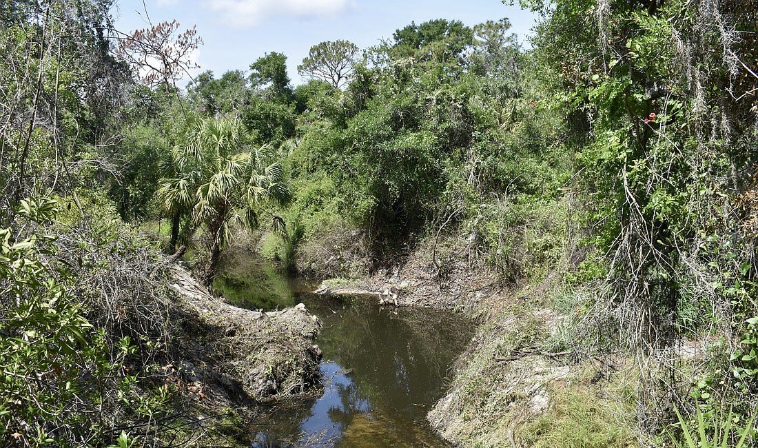 Braden River Cleanup Underway Ahead of Hurricane Season: Debris Removal, Maintenance Plans, and Flood Prevention in Focus