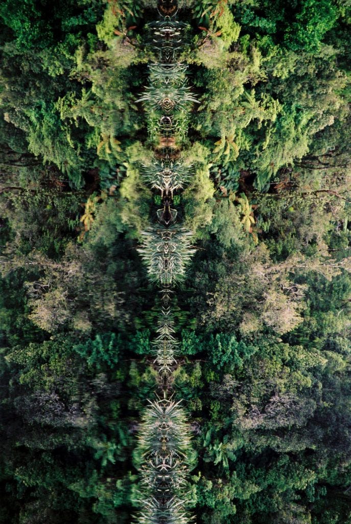 Jochen Schliemann, P - trauriges Reisen, Buch, Roman Jochen Schliemann, P - trauriges Reisen, Buch, Roman