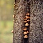 The small fixes that build the big picture