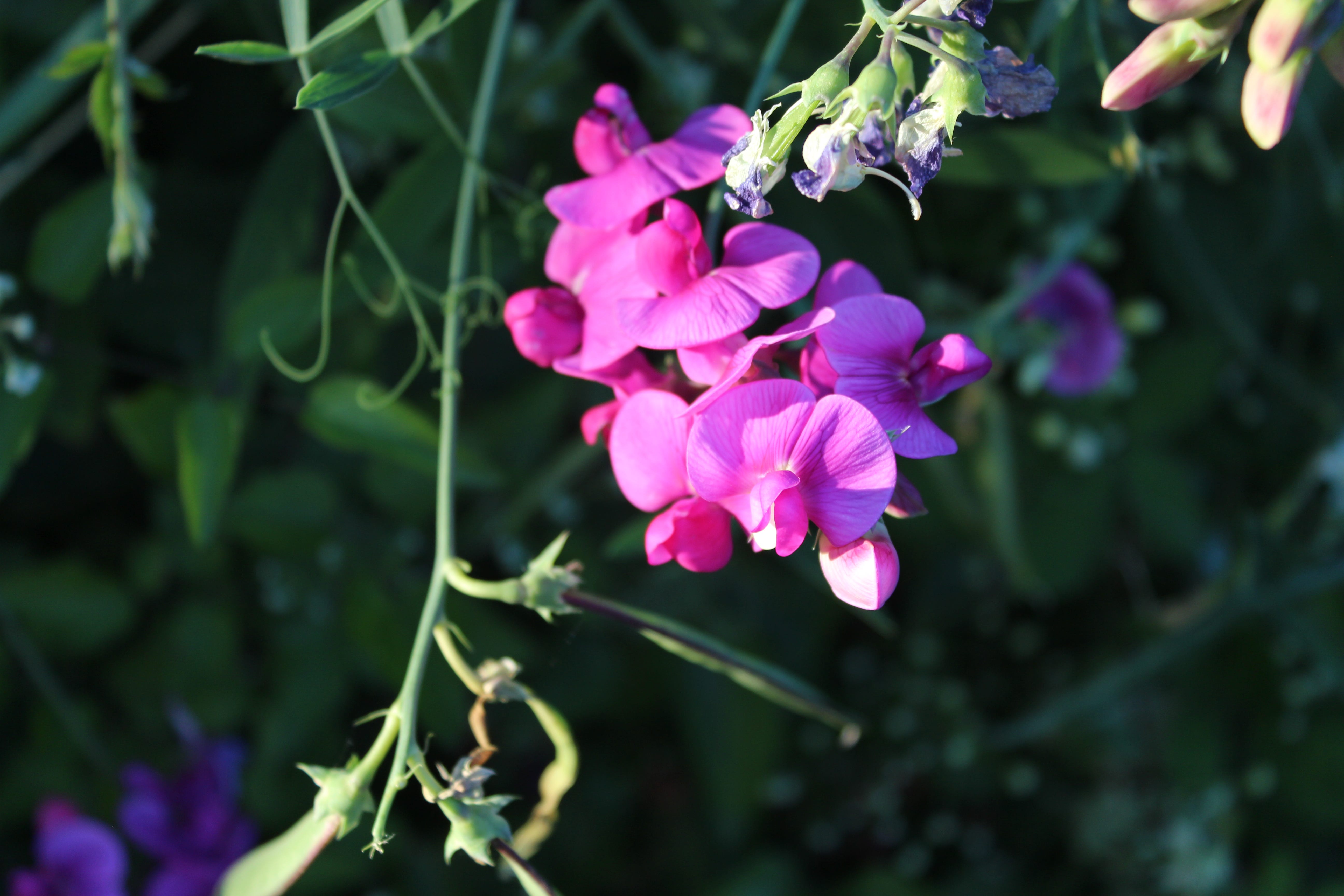 a little bit of the weirder bits