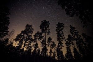 4189047064_67999aecfe