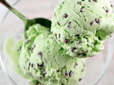 Mint Chocolate Chip Ice Cream Mint Chocolate Chip Ice Cream