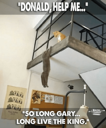 https://i0.wp.com/themacrotourist.com/images/2017/09/GarySep0717.png
