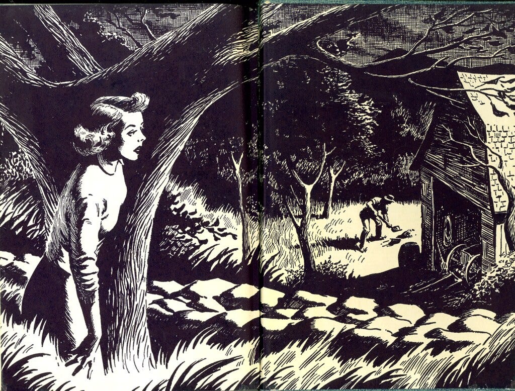 photograph of the inside covers of Nancy Drew:The Secret of the Old Clock by Carolyn Keene photograph of the inside covers of Nancy Drew:The Secret of the Old Clock by Carolyn Keene