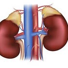 Early renal replacement therapy in critical illness did not improve outcomes (AKIKI)