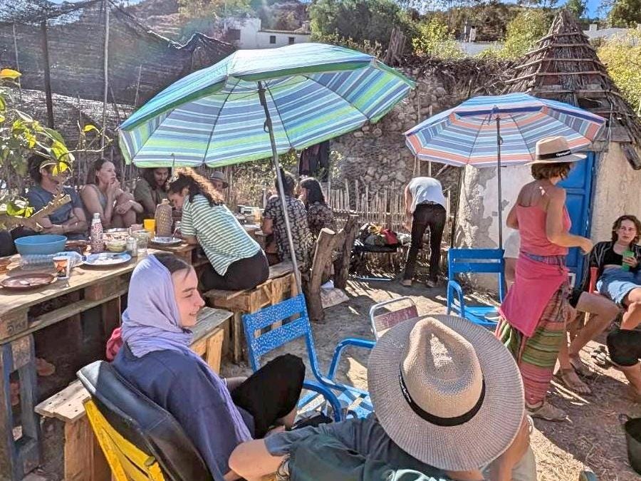Sunseed Desert Technology Coordinating Positions