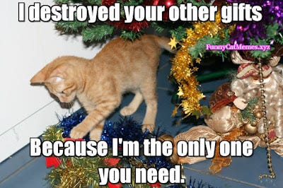 True Book Addict...Books, Cats, and More: #CatThursday - #Christmas ...