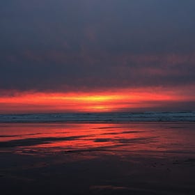 In defense of dropping out