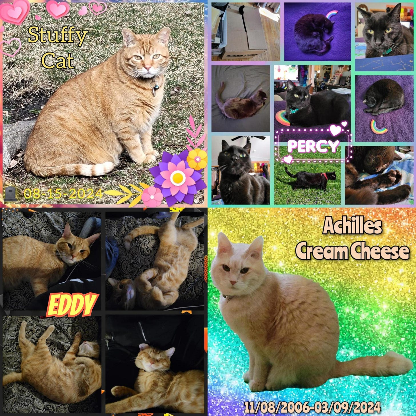 A four photo collage of cats. The top left is a single picture of a big orange cat in the grass called Stuffy Cat. The second is a multiphoto collage of a black cat in various positions indoors named Percy. The third is a single photo of a peach colored cat named Achilles Cream Cheese with his birth and death dates listed. The fourth image is a four photo collage of a little orange cat named Eddy is various positions on a bed.
