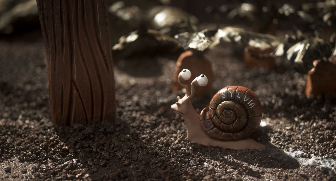 Memoir of a Snail - FilmInk Memoir of a Snail - FilmInk