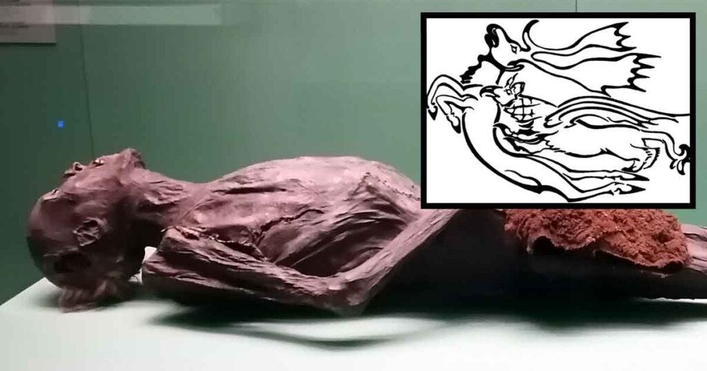 One of the several Pazyryk mummies currently housed at the Hermitage Museum. Source: CC BY-SA 4.0. Tattoo depiction of a griffin hunting a stag. Illustrated by Daniel Riday.