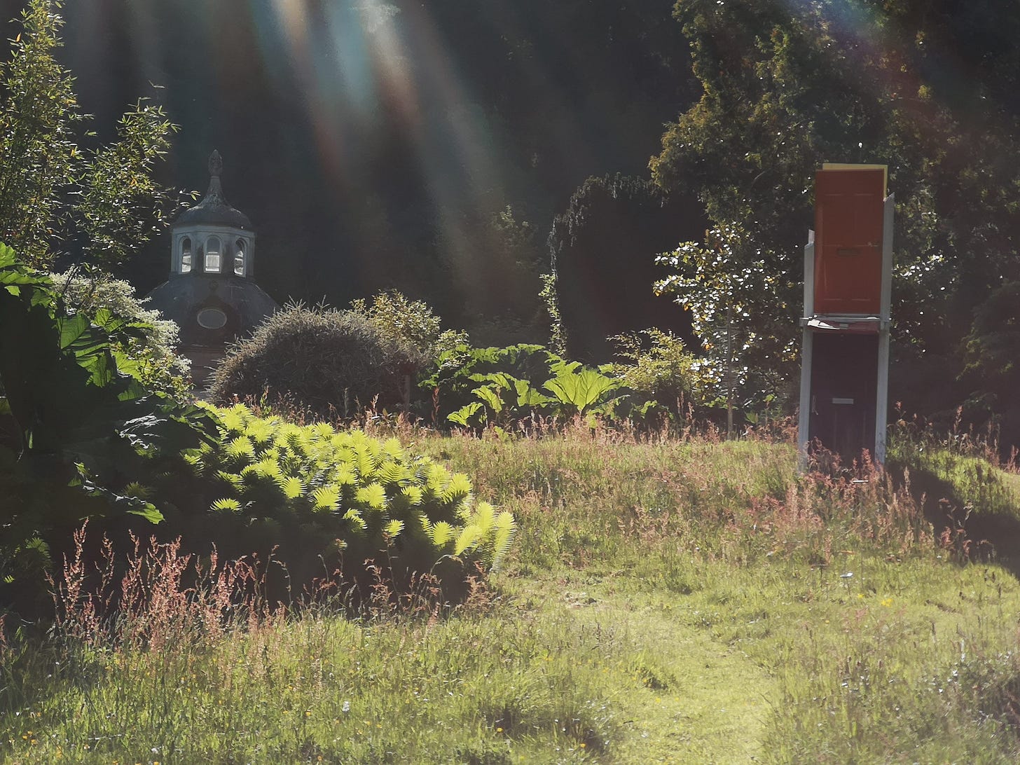 Wild Grasses, Shrubs, Sculpture and Orangery Dome in Exeter's Capability Brown Gardens