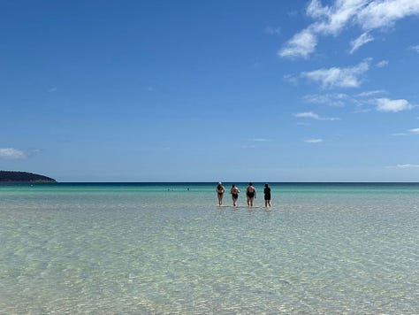 Clear blue water, a rugged coastline, women swimming, blowing out candles, a wallaby