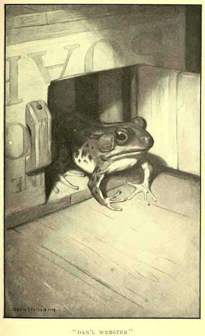 Smiley kep' the beast in a little lattice box.  An illustration for the great short story The Celebrated Jumping Frog of Calaveras County by the author Mark Twain