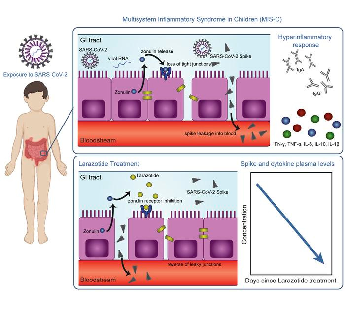 graphical abstract